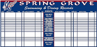 Swimming Record Board