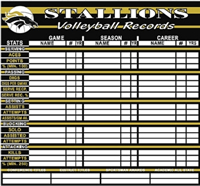 Volleyball Record Board